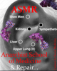 Logo of Anarchist School for Medicine and Rest/Repair/Revolt